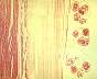Echinococcusgranulous224.jpg
