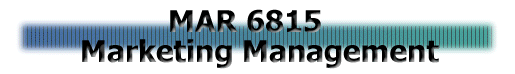 MAR 6815 - Marketing Management