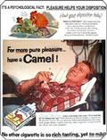 1955 Camel Ad