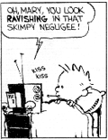 Calvin and Hobbs Soap Opera