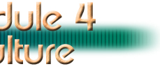 Module 4