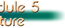 Module 5