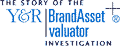 Brand Assett Valuator