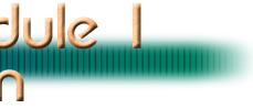 Module 1